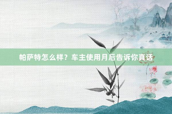 帕萨特怎么样？车主使用月后告诉你真话