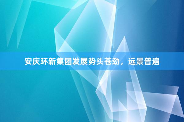 安庆环新集团发展势头苍劲，远景普遍