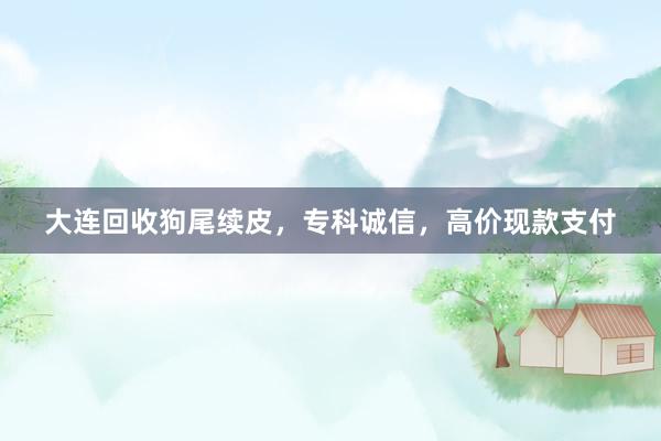 大连回收狗尾续皮，专科诚信，高价现款支付