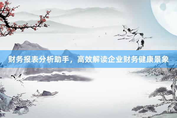 财务报表分析助手，高效解读企业财务健康景象